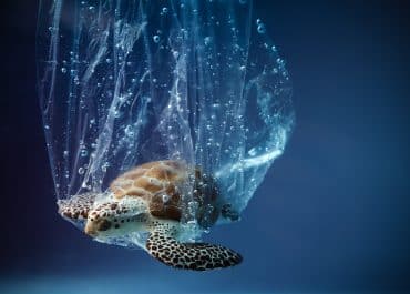 Lo ‘stato di plastica’ galleggia nei nostri oceani